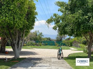 place photo 46