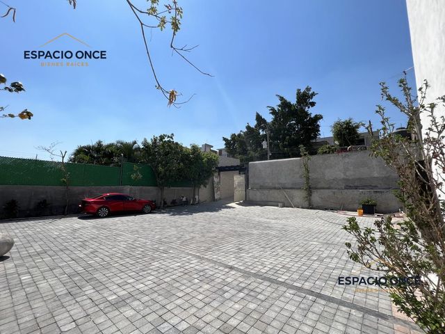place photo 24