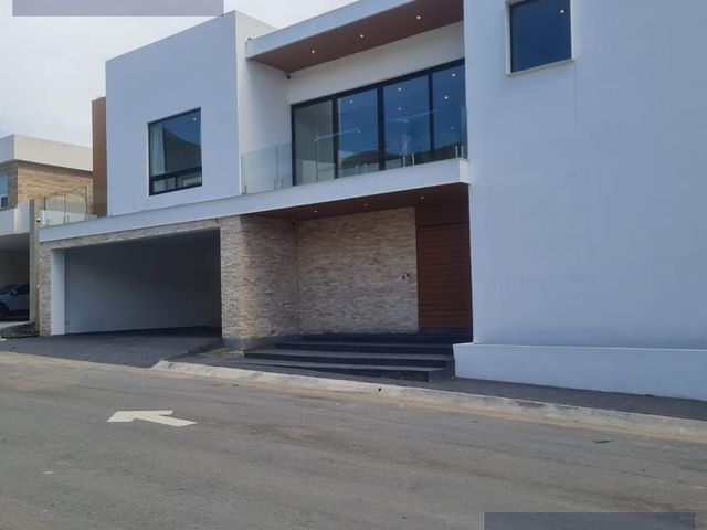 place photo 54