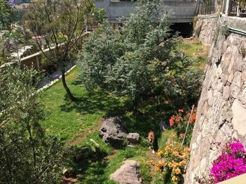 place photo 28