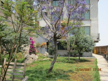 place photo 14
