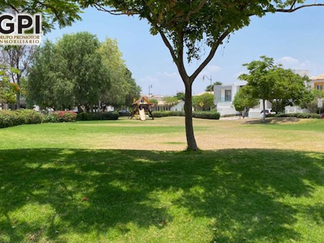 place photo 28