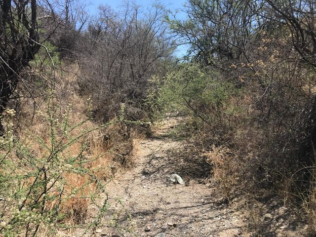 place photo 13