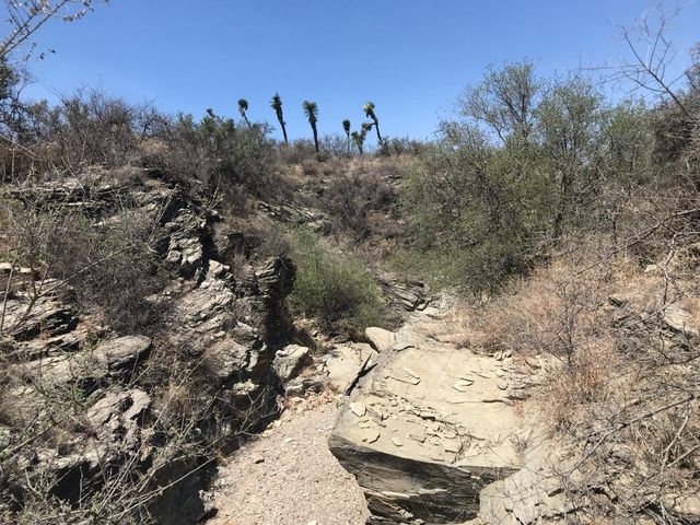 place photo 22