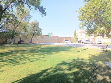 place photo 37