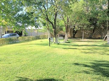 place photo 35