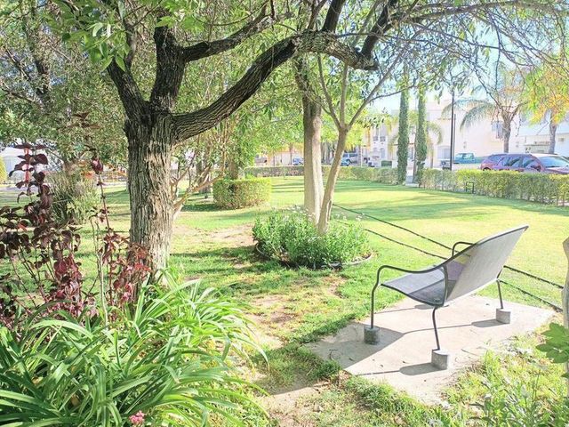 place photo 36
