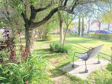place photo 36