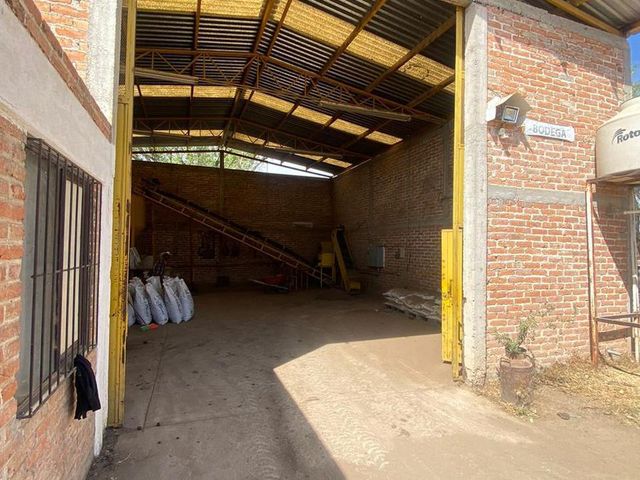place photo 14