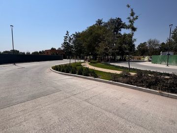 place photo 25