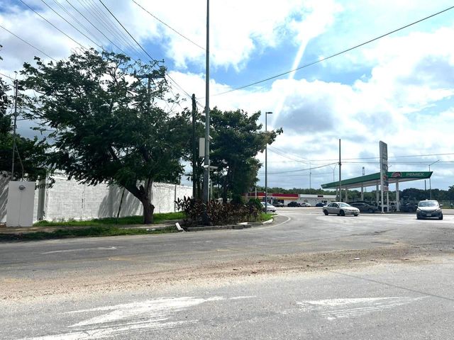 place photo 4