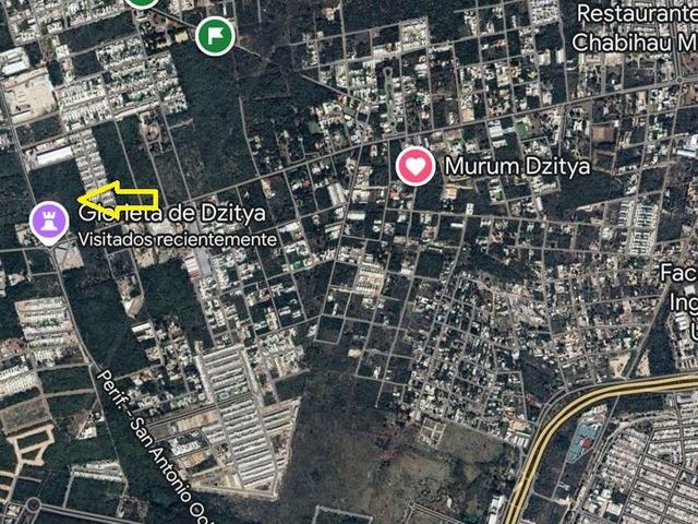 place photo 7