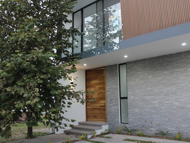 place photo 54