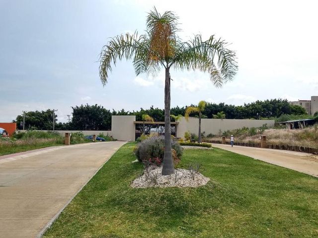 place photo 14