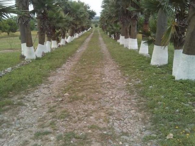place photo 22