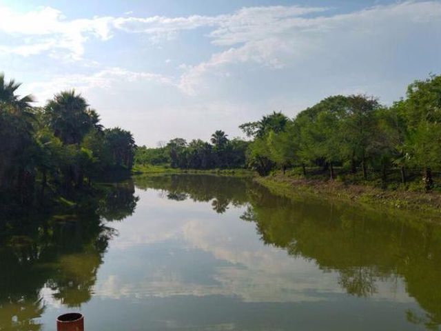 place photo 16