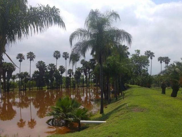 place photo 24