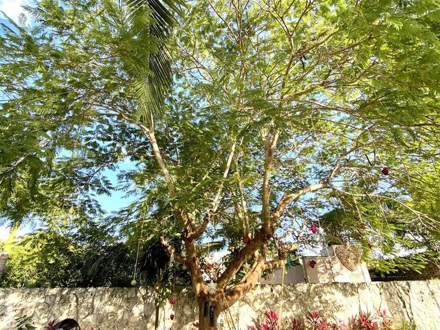 place photo 50