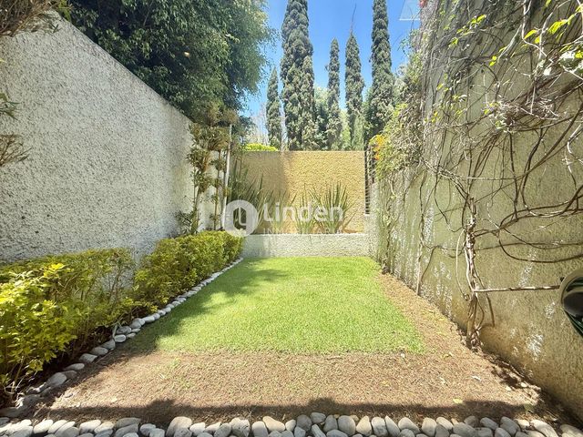 place photo 71