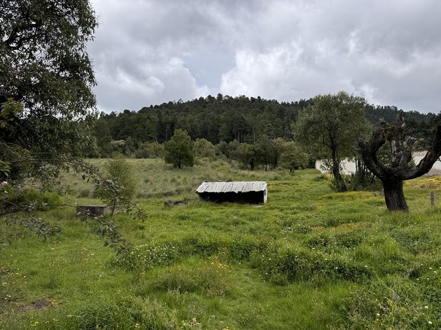 place photo 28