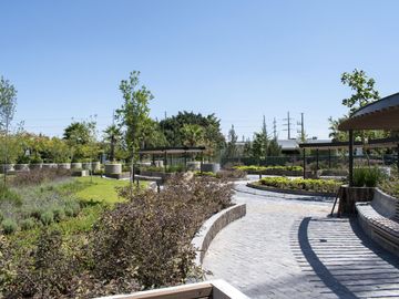 place photo 22