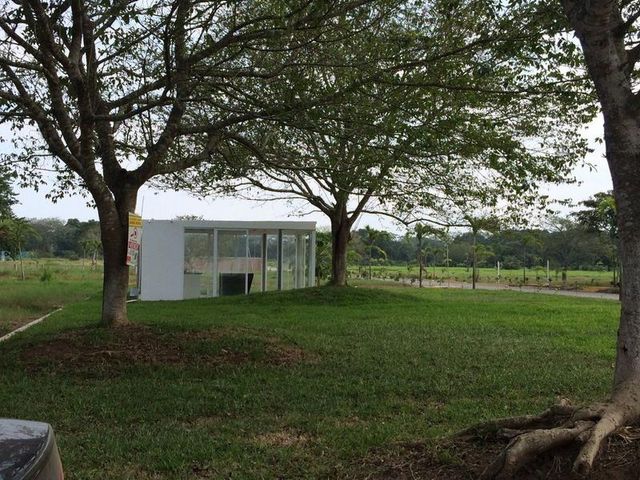 place photo 11