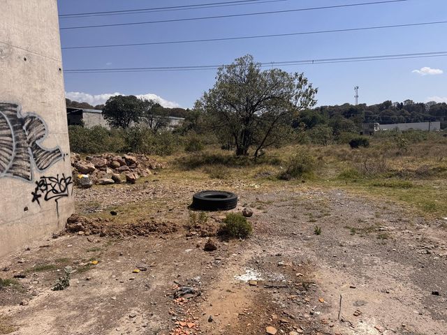 place photo 16