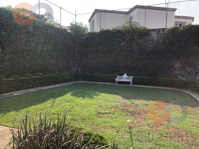 place photo 58