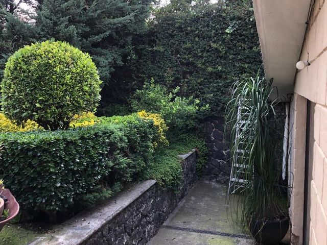 place photo 66