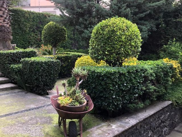 place photo 59