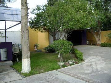 place photo 22