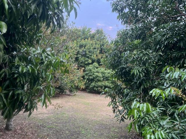 place photo 43