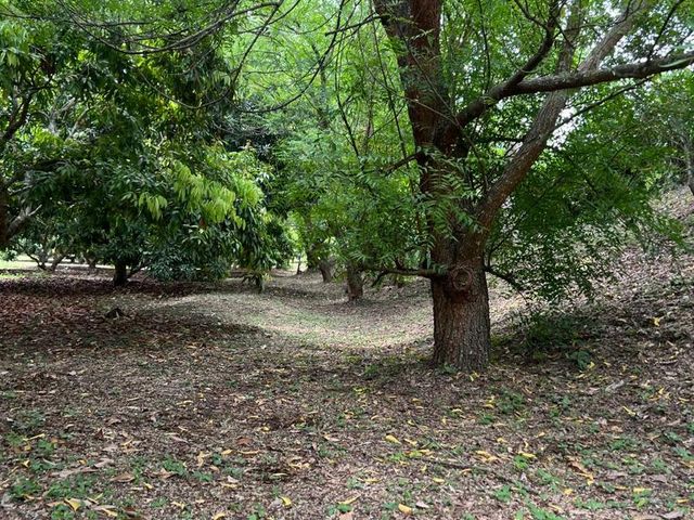 place photo 50