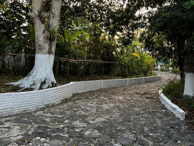 place photo 38