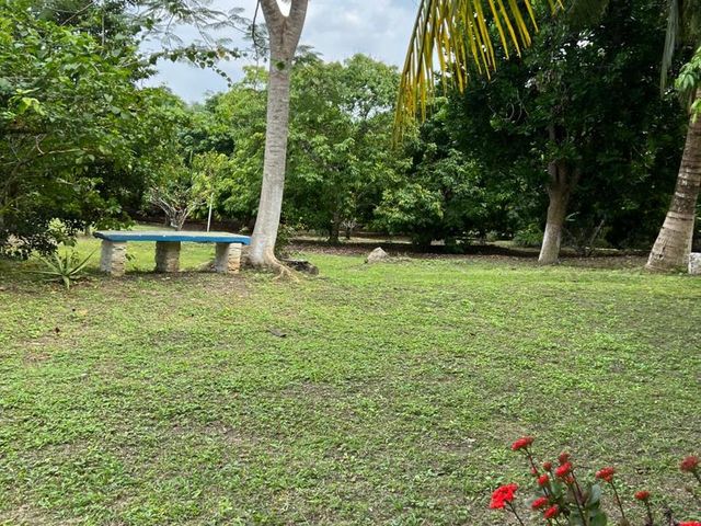 place photo 24