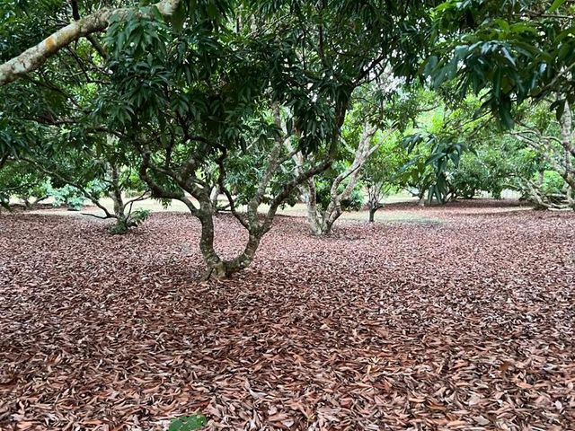 place photo 49