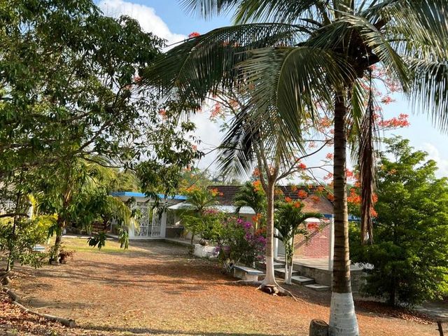 place photo 19