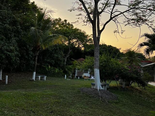 place photo 37