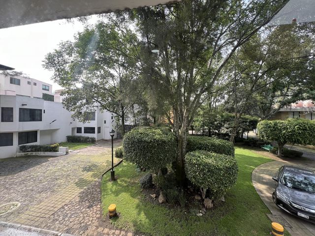 place photo 35