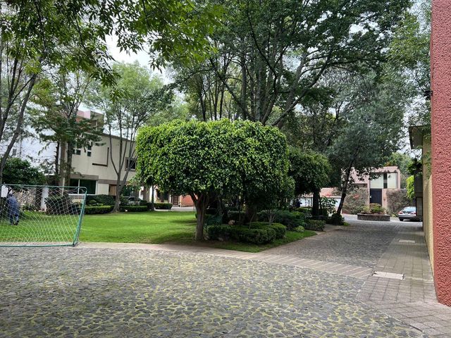 place photo 38