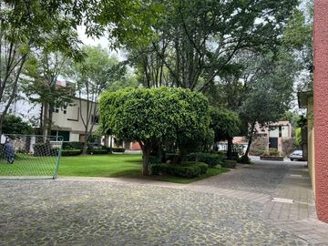 place photo 38