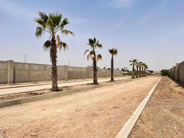place photo 2