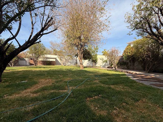 place photo 57