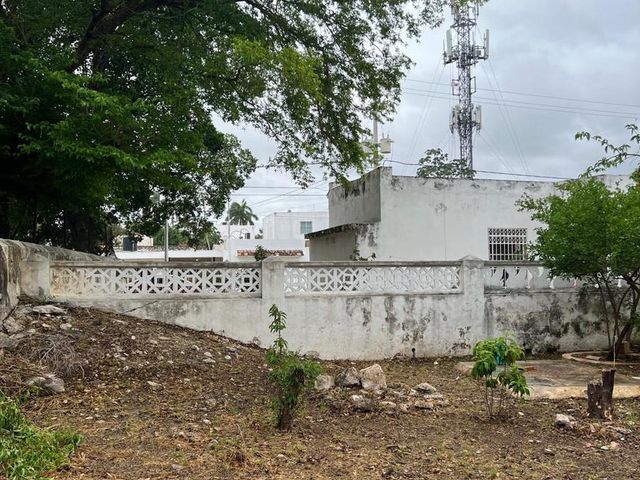 place photo 13