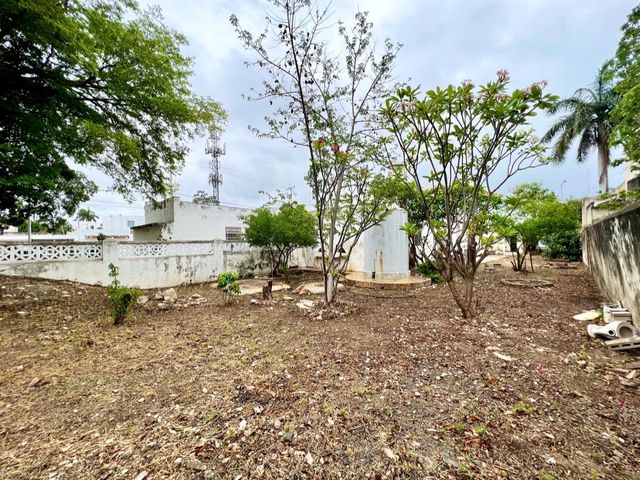 place photo 14