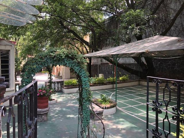 place photo 26