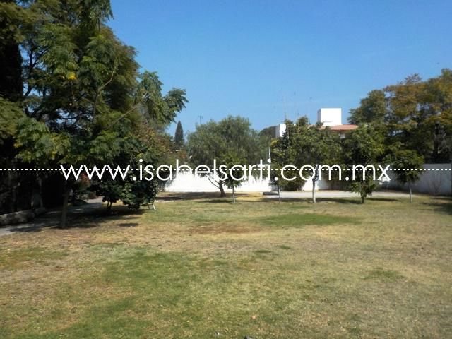 place photo 22