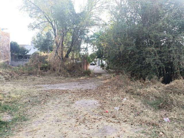 place photo 24