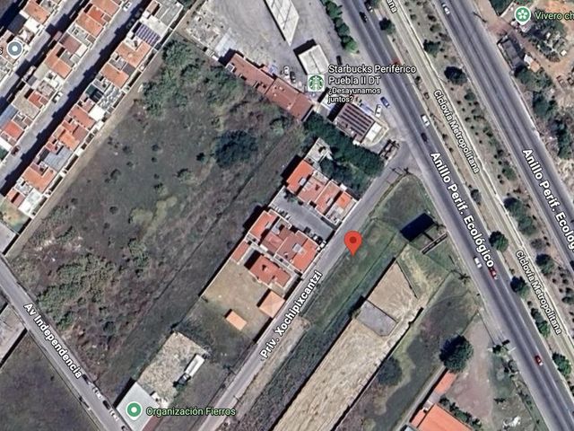 place photo 12