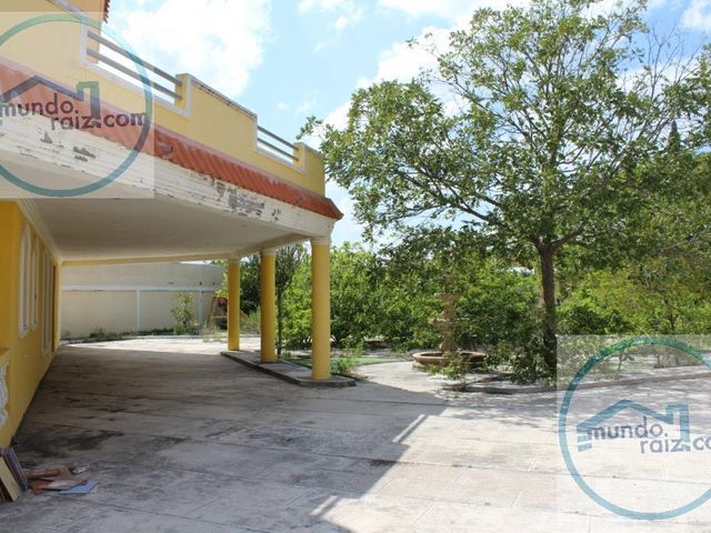 place photo 21